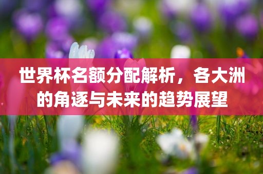 世界杯名额分配解析，各大洲的角逐与未来的趋势展望