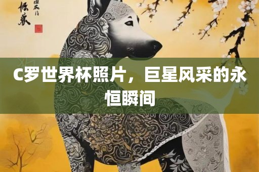 C罗世界杯照片，巨星风采的永恒瞬间