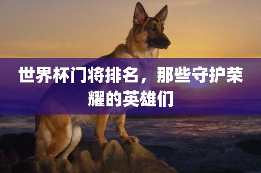 世界杯门将排名，那些守护荣耀的英雄们