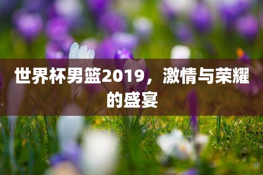 世界杯男篮2眉山市正发家政服务有限公司019，激情与荣耀的盛宴