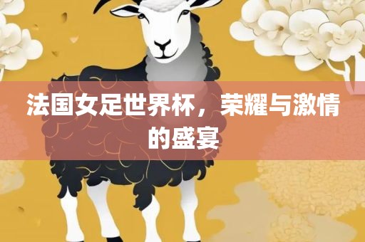 法国女足世界杯，荣耀与激情的盛宴