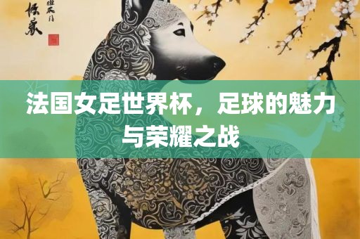 法国女足世界杯，足球的魅力与荣耀之战