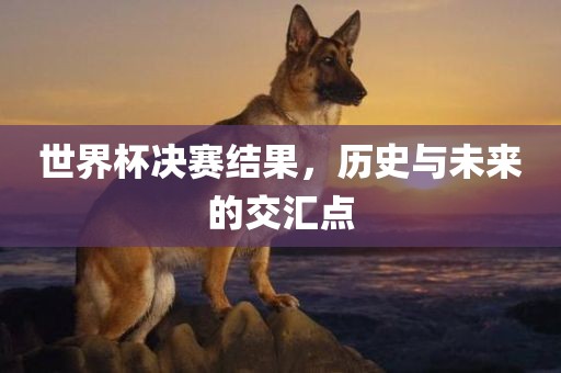 世界杯决赛结果，历史与未来的交汇点