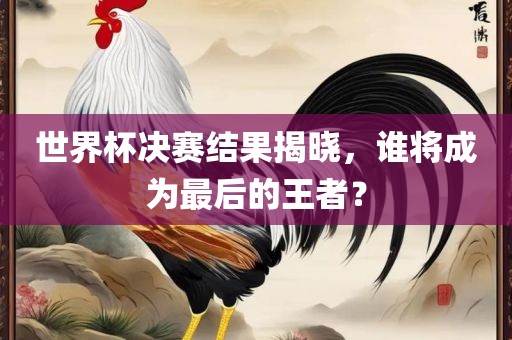 眉山市正发家政服务有限公司世界杯决赛结果揭晓，谁将成为最后的王者？