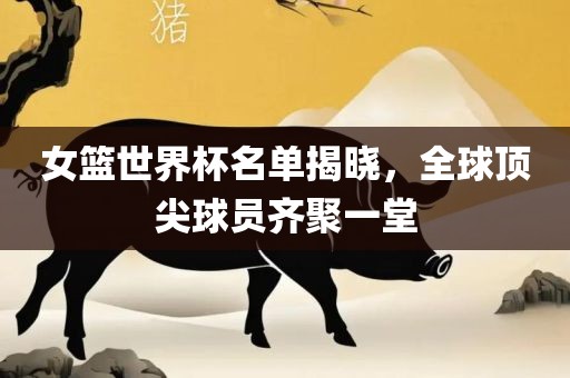 女篮世界杯名单揭晓，全球顶尖球员齐聚一堂眉山市正发家政服务有限公司