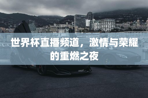 世界杯直播频道，激情与荣耀的重燃之夜