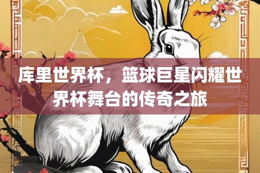 库里世界杯，篮球巨星闪耀世界杯舞台的传奇之旅