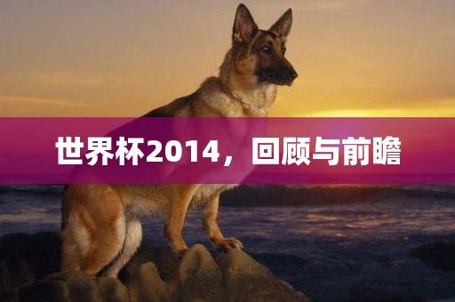 世界杯2014，回顾与前瞻