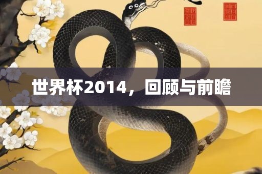世界杯2014，回顾与前瞻