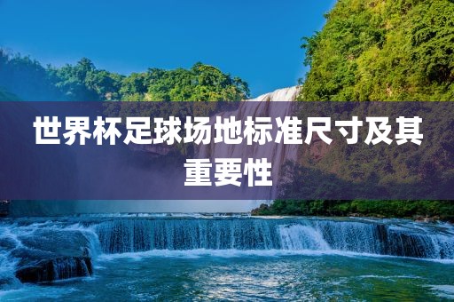 世界杯足球场地标准尺寸及其重要性