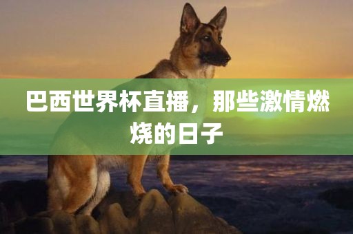 巴西世界杯直播，那些激情燃烧的日子