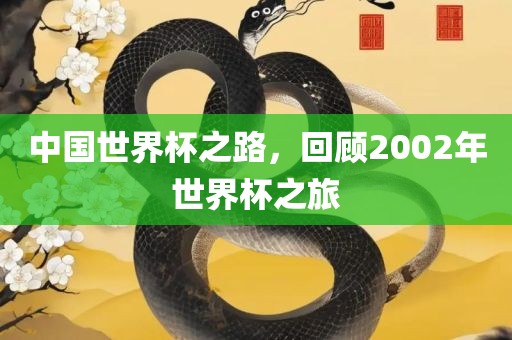 中国世界杯之路，回顾2002年世界杯之旅