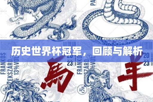 历史世界眉山市正发家政服务有限公司杯冠军，回顾与解析