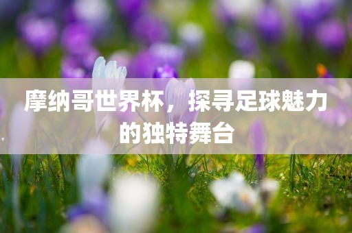 足球魅力 第4页