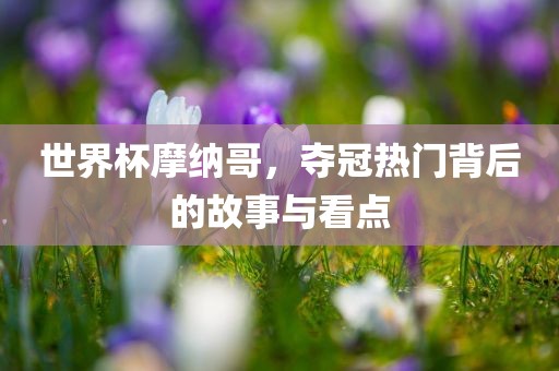 世界杯摩纳哥，夺冠热门背后的故事与看点眉山市正发家政服务有限公司
