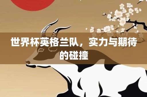 世界杯英格兰队，实力与期待的碰撞