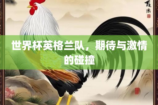 世界杯英格兰队，期待与激情的碰撞
