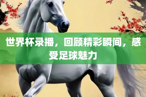 世界杯录播，回顾精彩瞬间，感受足球魅力眉山市正发家政服务有限公司