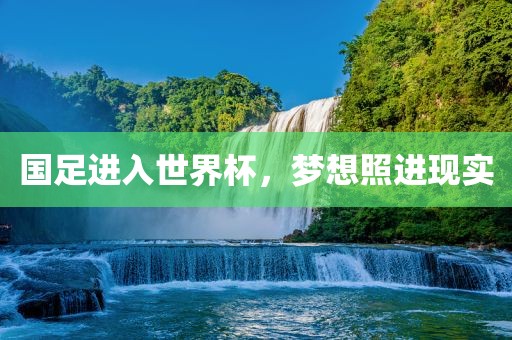 国足进入世界杯，梦想照进现实