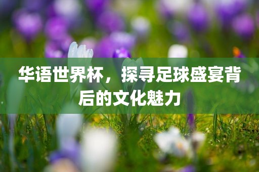 华语世界杯，探寻足球盛宴背后的文化魅力眉山市正发家政服务有限公司