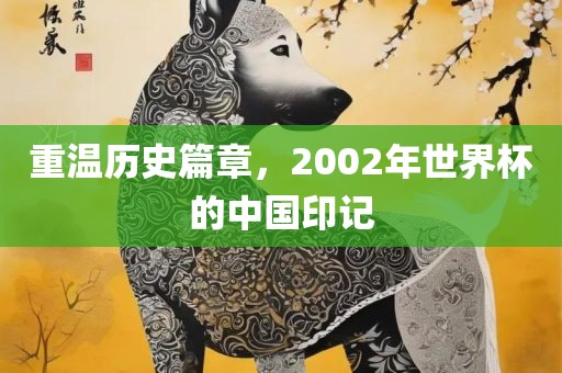 重温历史篇章，2002年世界杯的中国印记眉山市正发家政服务有限公司