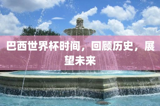 历史与未来展望 第6页