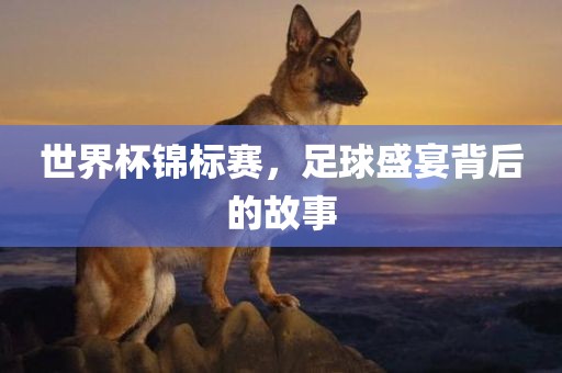 世界杯锦标赛，足球盛宴背后的故事