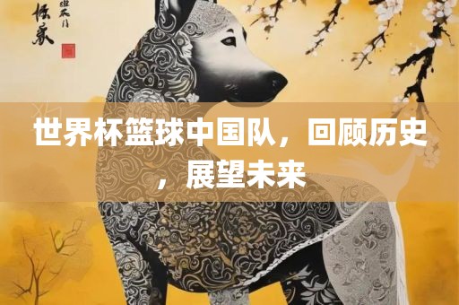 世界杯篮球中国队，回顾历史，展望未来