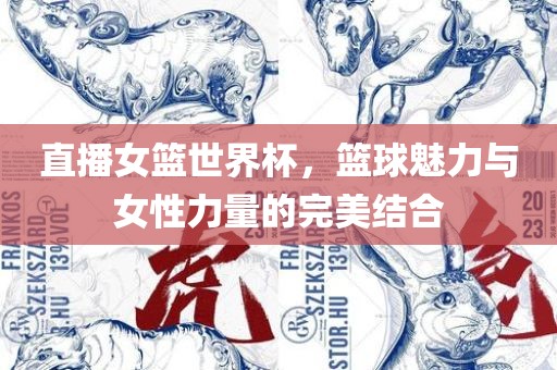 直播女篮世界杯，篮球魅力与女性力量的完美结合