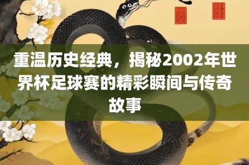 重温历史经典，揭秘2002年世界杯足球赛的精彩瞬间与传奇故事眉山市正发家政服务有限公司