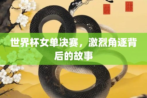 世界杯女单决赛，激烈角逐背后的故事