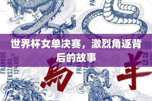 世界杯女单决赛，激烈角逐背后的故事
