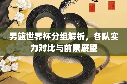 男篮世界杯分组解析，各队实力对比与前景展望眉山市正发家政服务有限公司