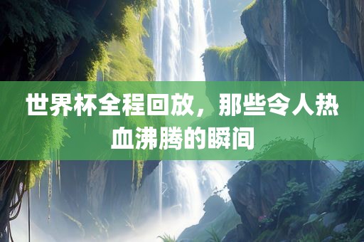 世界杯全程回放，那些令人热血沸腾的瞬间眉山市正发家政服务有限公司