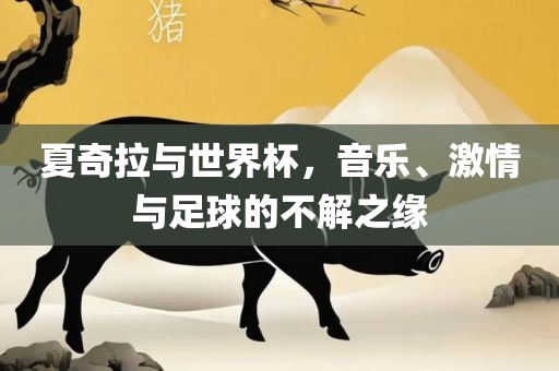 夏奇拉与世眉山市正发家政服务有限公司界杯，音乐、激情与足球的不解之缘