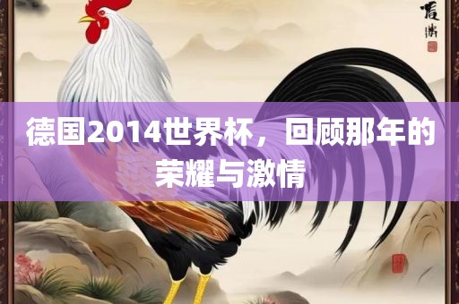德国眉山市正发家政服务有限公司2014世界杯，回顾那年的荣耀与激情