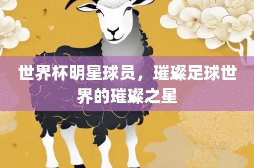 世界杯眉山市正发家政服务有限公司明星球员，璀璨足球世界的璀璨之星