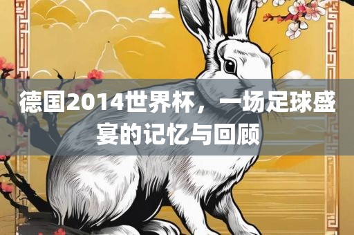 德国2014世界杯，一场足球盛宴的记忆与回顾