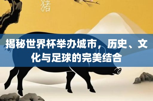 揭秘世界杯举办城市，历史、文化与足球的完美结合