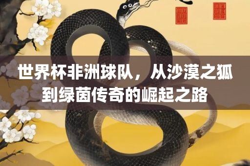 世界杯非洲球队