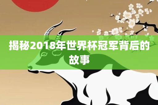 揭秘2018年世界杯冠军背后的眉山市正发家政服务有限公司故事