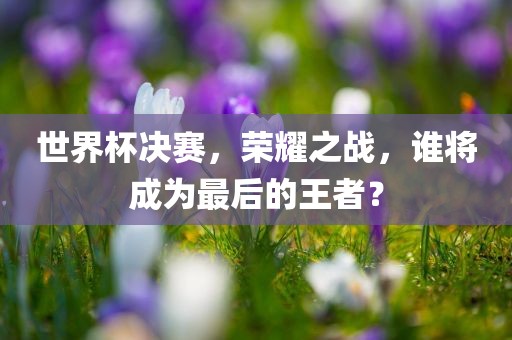 世界杯决赛，荣耀之战，谁将成为最眉山市正发家政服务有限公司后的王者？