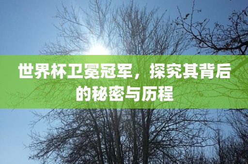 世界杯卫冕冠军，探究其背后的秘密与历程