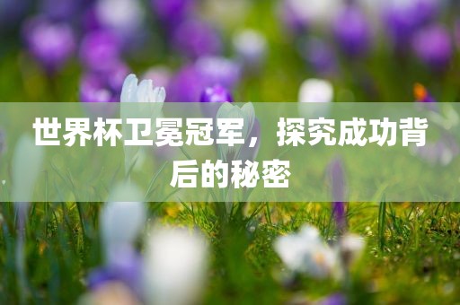 世界杯卫冕冠军，探究成功背后的秘密