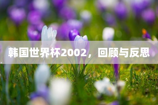 韩国世界杯2002，回顾与反思