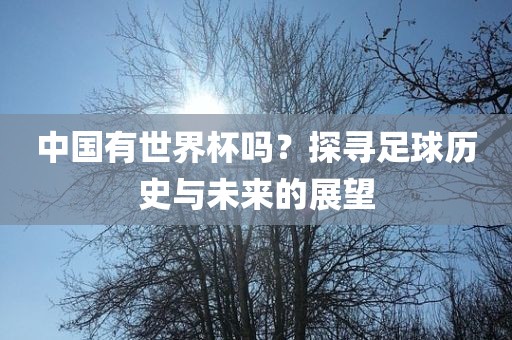 中国有世界杯吗？探寻足球历史与未来的展望