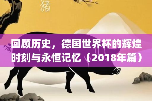 回顾历史，德国世界眉山市正发家政服务有限公司杯的辉煌时刻与永恒记忆（2018年篇）