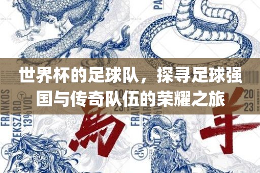世界杯足球队