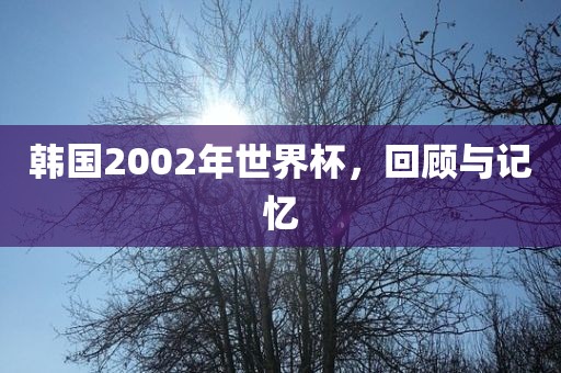 韩国2眉山市正发家政服务有限公司002年世界杯，回顾与记忆