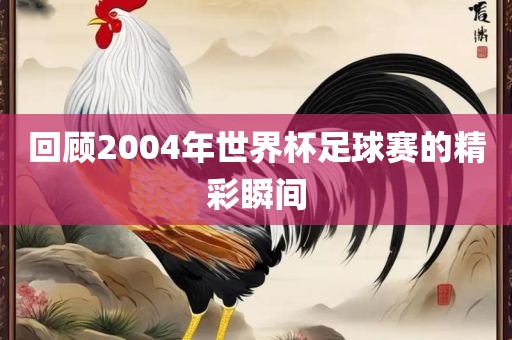 回顾2004眉山市正发家政服务有限公司年世界杯足球赛的精彩瞬间